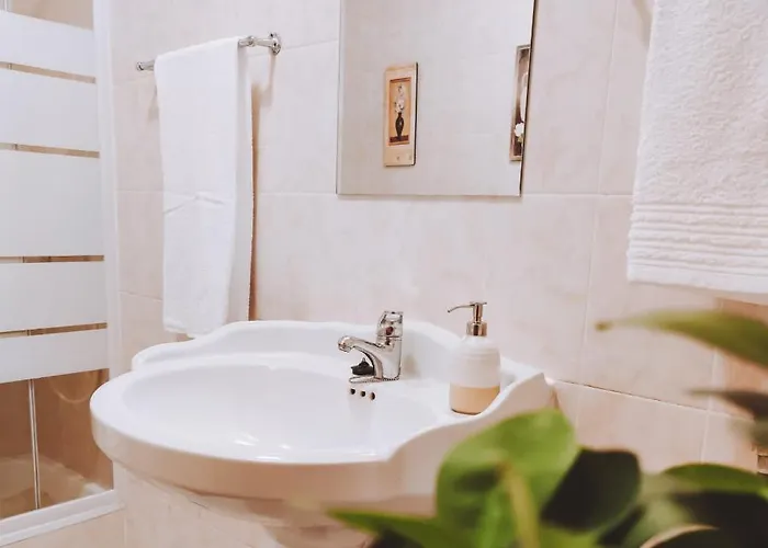 O Palheiro 펜션 바라간카